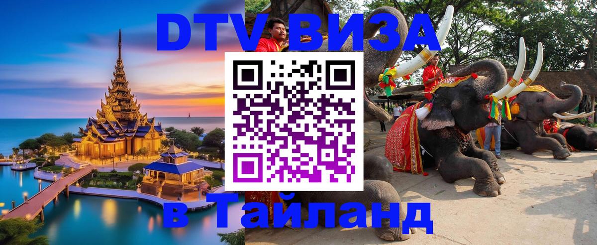 Сколько стоит DTV виза — актуальные цены, оформление даже без документов - 03.10.2025 